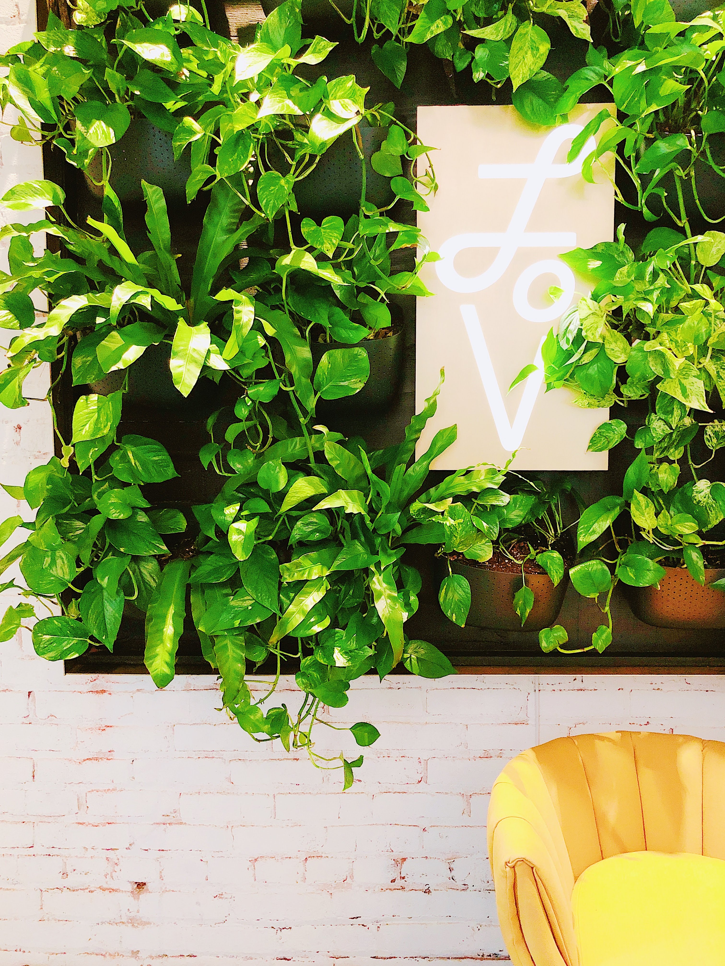 Processed with VSCO with k1 preset