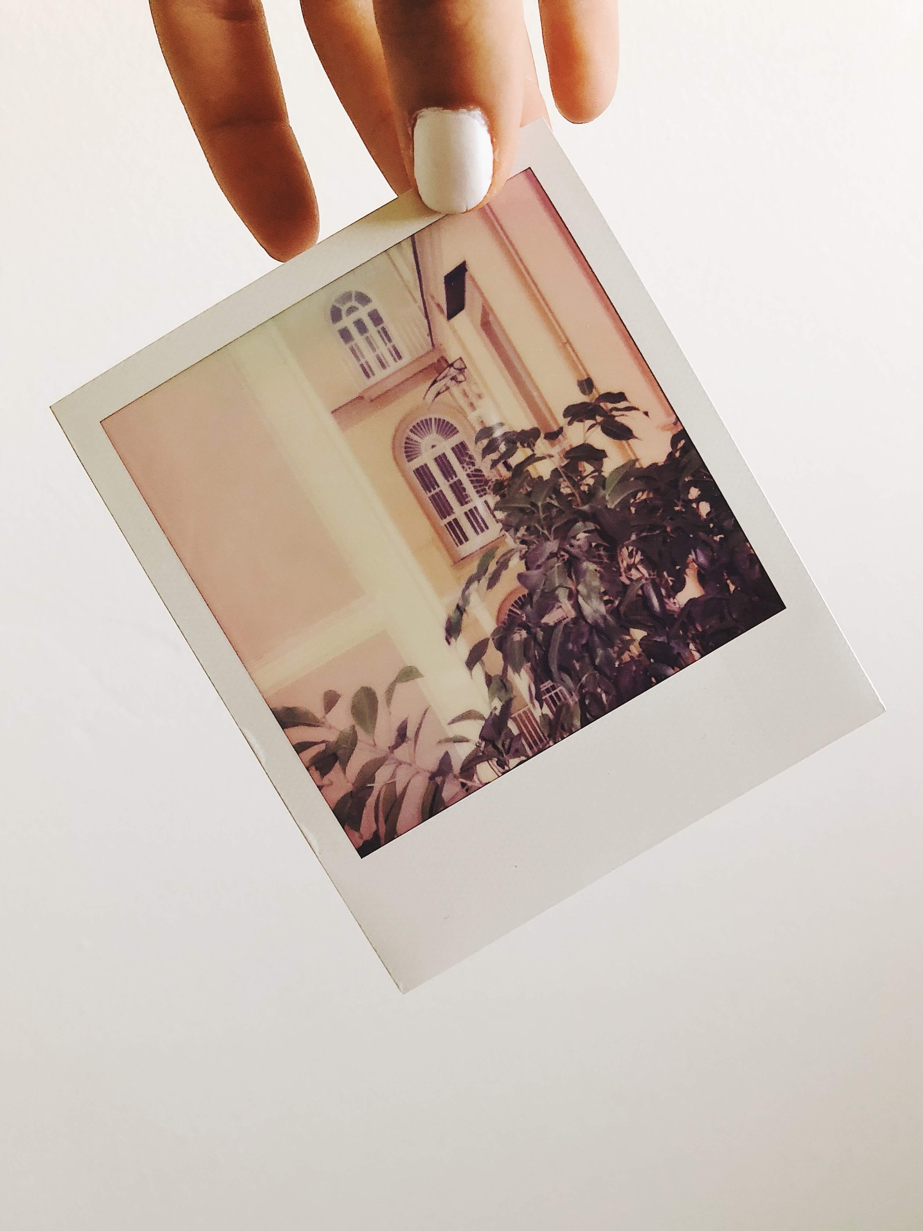 Processed with VSCO with f3 preset