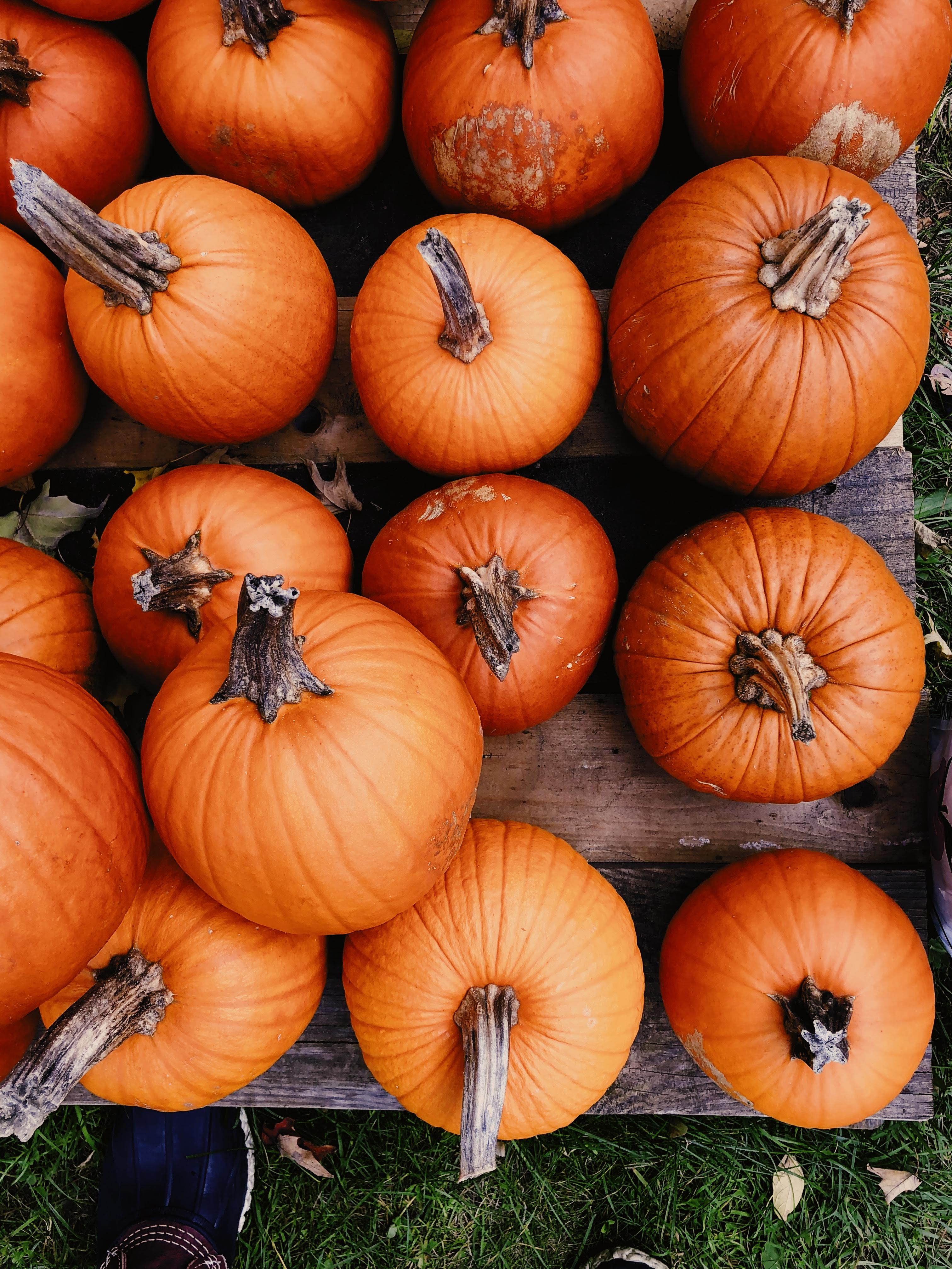 Processed with VSCO with fr4 preset