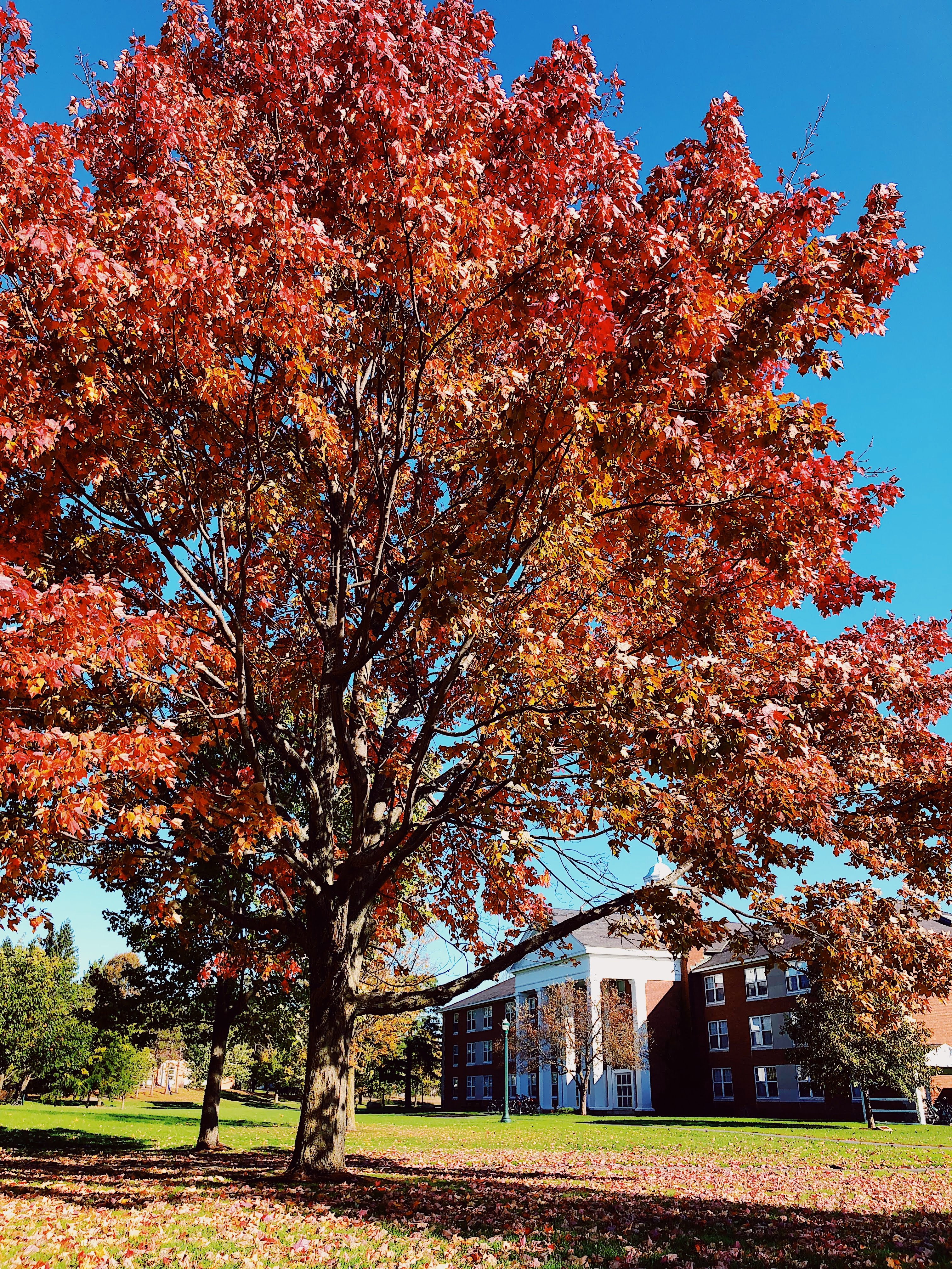 Processed with VSCO with au5 preset