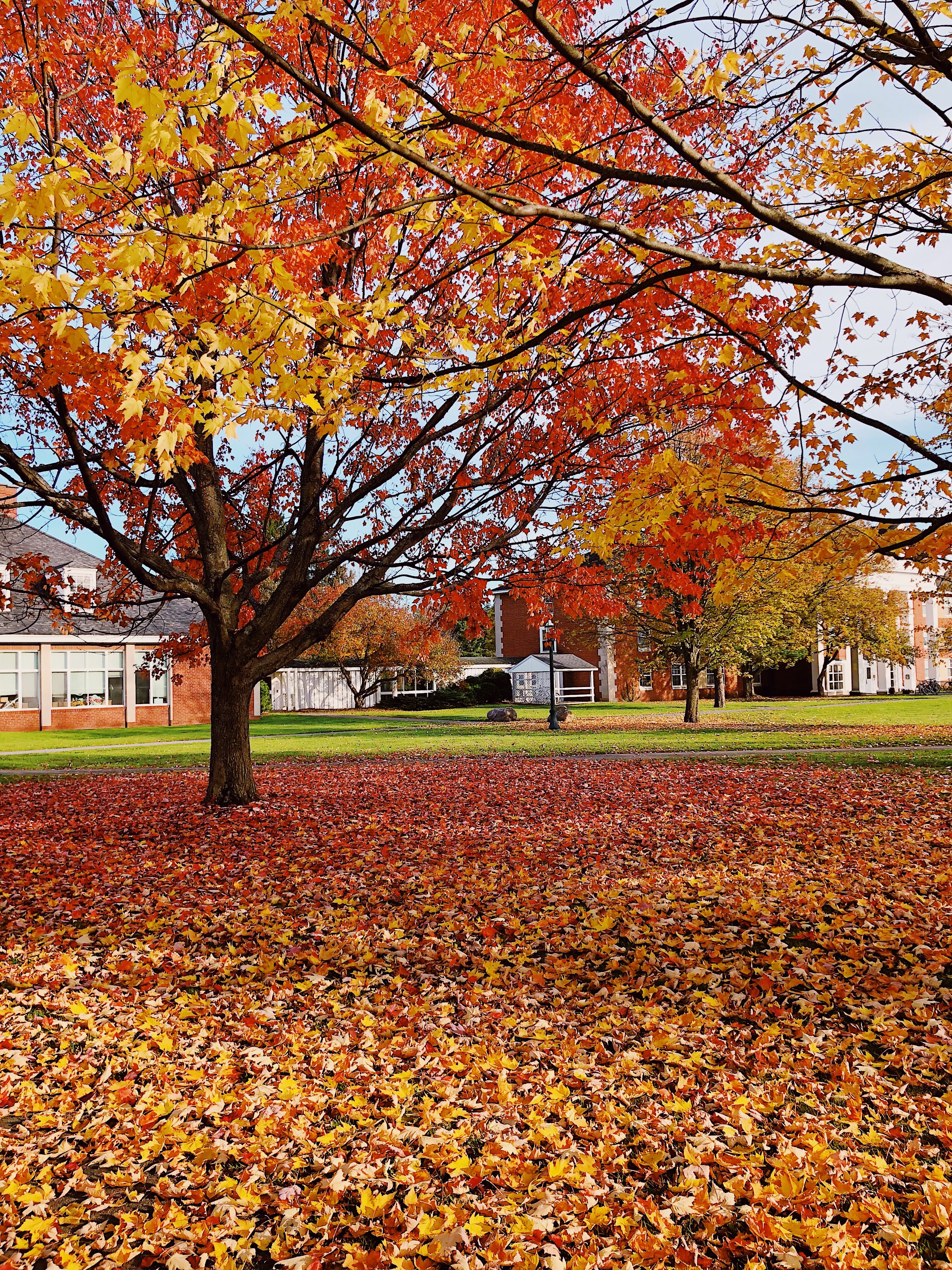 Processed with VSCO with au5 preset