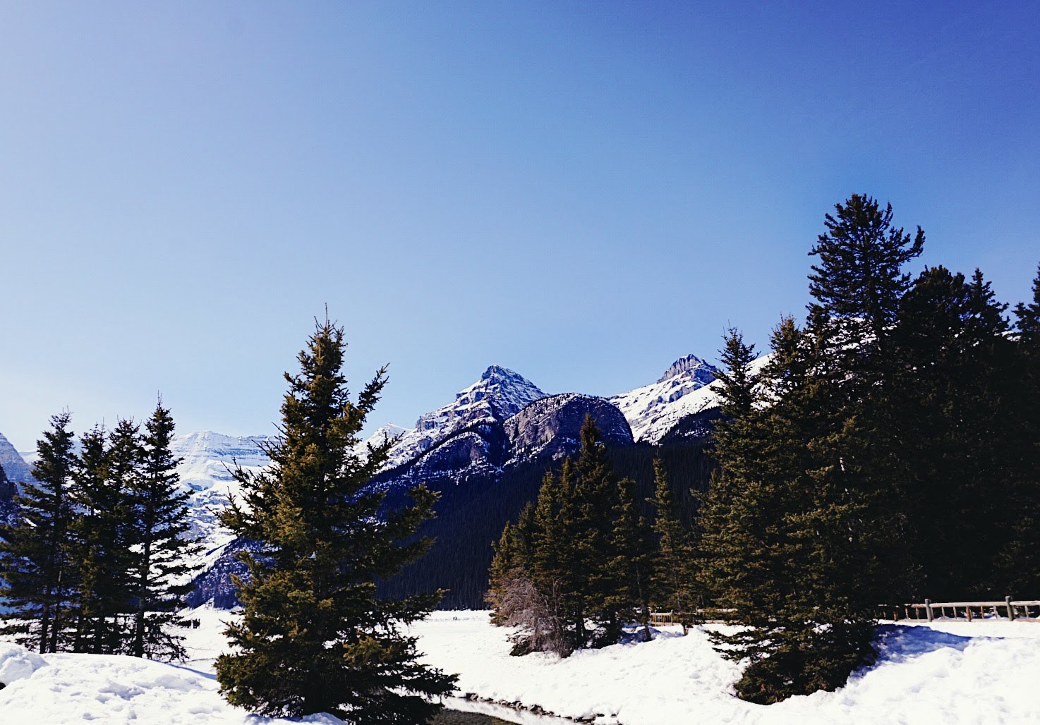 Processed with VSCO with ka1 preset